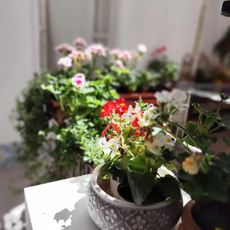 Ciclopi Guest house Palermo
