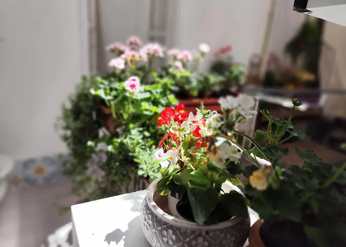 Ciclopi Gæstehus Palermo